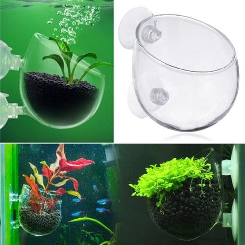 1pc Aquarium Plant Glass Plant Pots Hanging Fish Tank Crystal Holder Aquatic Plants Cylinder Cup for Home Office
