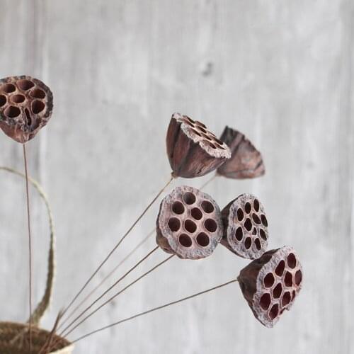 5pcs dried naturally flower bouquets small size naturally dired lotus seedpod&seedpod of the lotus without seed