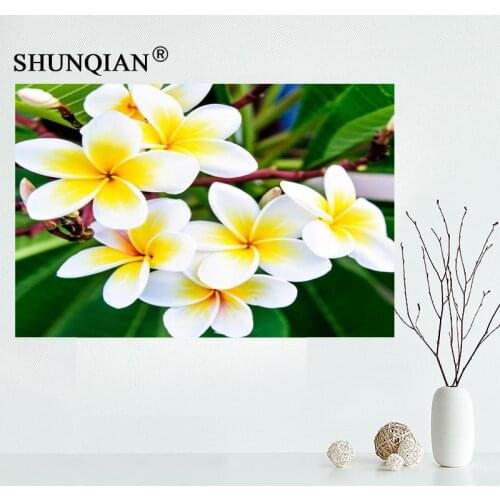 New Arrival Plumeria poster high quality Canvas Poster custom posters for kids more size 27x40 30x45 40x60 50x75 60x90