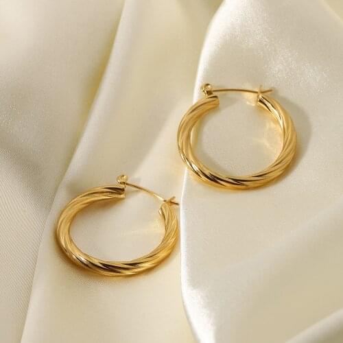 316L Stainless Steel Twisted Hoop Earrings For Women Girls Trendy Classic Circle Earrings Jewelry Accessories
