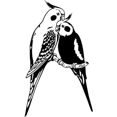 Two Parrot Bird Lovers Interesting Decals Car Window Decoration Personality Pvc Waterproof Decals Black/white, 20cm*12cm
