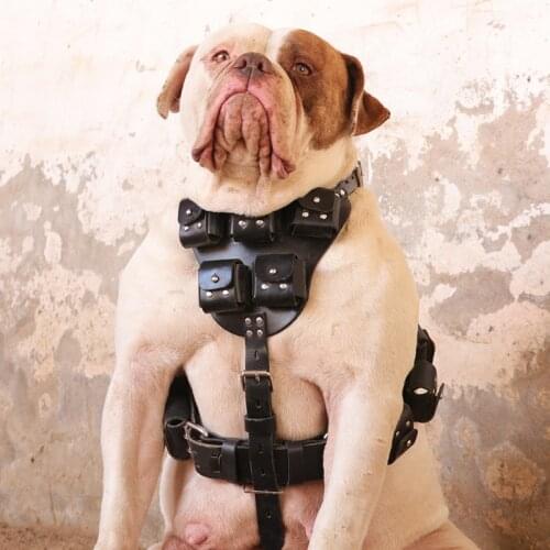 Weighted Dog Harness For Pitbulls Puppy Pulling Harness Weighted Dog Vest For American Bulldog Weight Training Equipment