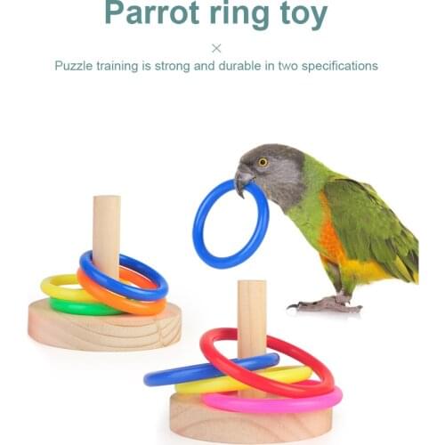 Pet Bird Development Intelligence Toy Ring Game Parrot Intelligence Training Educational Toys For Pet Supplies Accessories