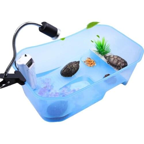 NeverElse Home Aquariums
