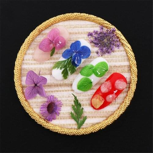 12 Color Dry Flower Nails Rhinestone Decoration Popular Nail Art Tips Home or Salon DIY Manicure Tools 1 box