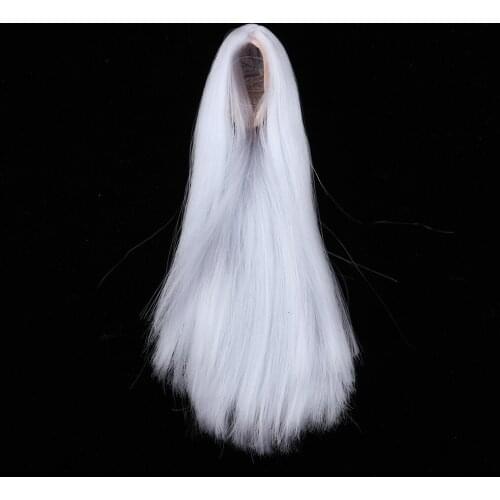 1/6 Scale Long Straight Hair Wig for 12 inch HT, PH, JIAOU, CY Girls Female Body