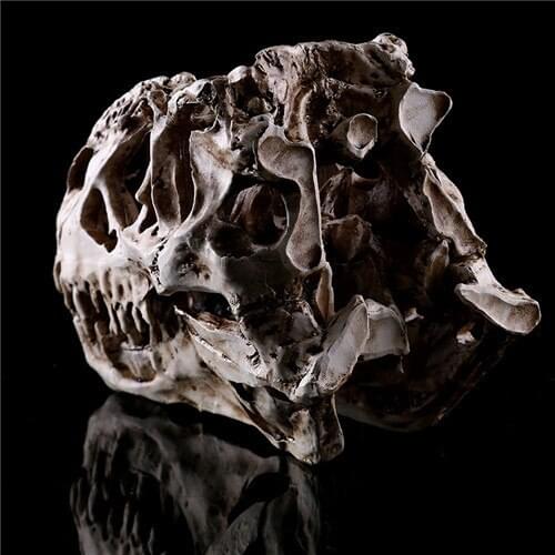 1PC Tyrannosaurus Rex Dinosaur Skull Handicrafts Resin Fossil Simulation Skull Model For Collectibles Light Color 15*11.5*8cm