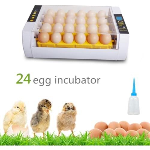 220V Egg Incubator Brooder Chick Bird Quail Hatchery Machine Digital 24Egg Poultry Hatcher fully Automatic Farm Incubation Tools
