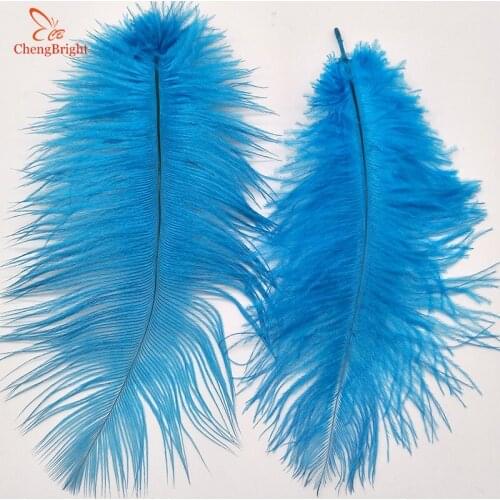ChengBright 500Pcs/Lot Sky blue Ostrich Feathers For Crafts 15-70CM Carnival Costumes Party Home Wedding Decorations Plumes Diy