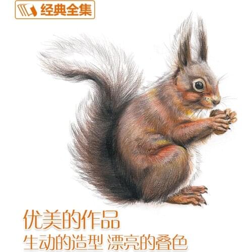 Color Pencil Drawing Zero Basis Entry Hand-Painted Illustration Animal And Plant Vegetable Beginner Child Adult Coloring Book