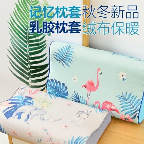 LaTeX Pillowcase Ice Silk Pillow Case Adult 60x40 Autumn and Winter Male and Female Single Student Pillow Case 5030