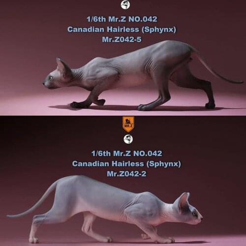 Mr.Z No.040-BS 1/6 Scale Canadian Hairless cat sphynx simulation model toy animal static model for 12' action figure acc