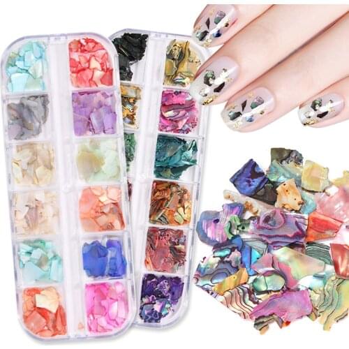 12 IN ONE SET Grids Nail Decoration Irregular Shell Flake & Hollow Stud & Abalone Flake Ultra-thin Paillette for Nail Salon