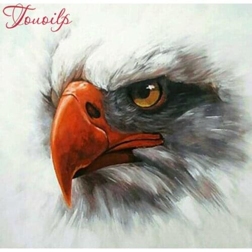 3D 5d Diamond Painting full round square drill Home decoration Scroll Paint Embroidery Kits rhinestones De Witte Wildernis