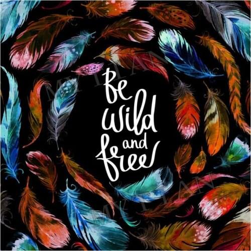 New full square / round 5D DIY diamond paintings "Feather" 3D Embroidery Pattern resin cross stitch kits mosaic home decor stick