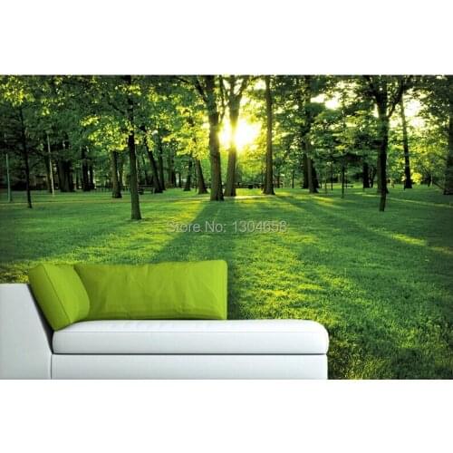 Custom 3D large murals of natural scenery morning Park the living room sofa aisle background wall wallpaper