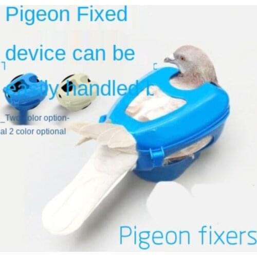 Plastic Racing Pigeon Holder Easy Bird Fixed Frame Rack Medicine Feeder bird pet toys bird toys budgie parrot toys