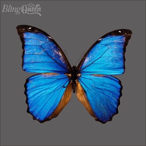 BlingQueen 12PCS/LOT Korean Clothes PU Printing Vinyl Heat Transfers Thermal Stickers Washable Iron On Patches Butterfly Design