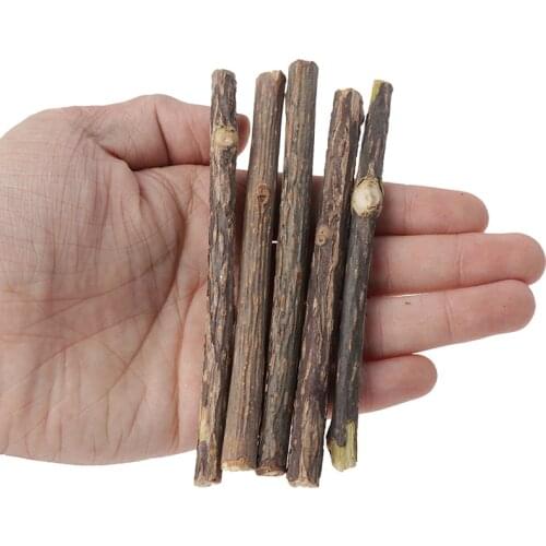 5 pcs Cat Cleaning Teeth Pure Natural Catnip Stick Pet Molar Toothpaste Snacks