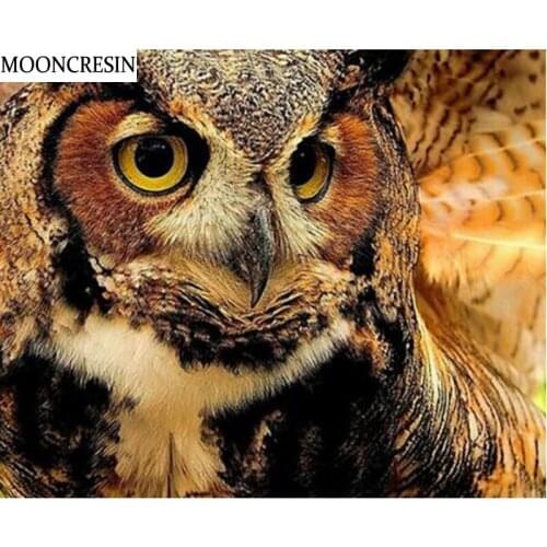 Diy Diamond Embroidery Full Square 5D Diamond Painting Owl Cross Stitch Crystal Mosaic Of Rhinestones Christmas Decoration Home