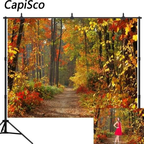Capisco photography background Autumn leaves beautiful dream forest natural backdrop photo studio camera fotografica