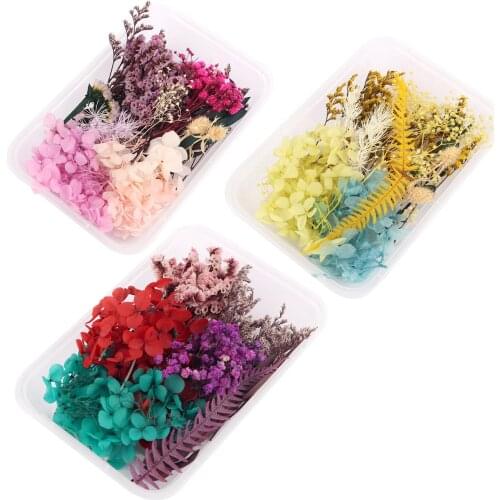 1 Box Colorful Natural Dried Flower Plant For DIY Aromatherapy Candles Bookmark Scrapbook Photo Album Gift Packaging Accessories