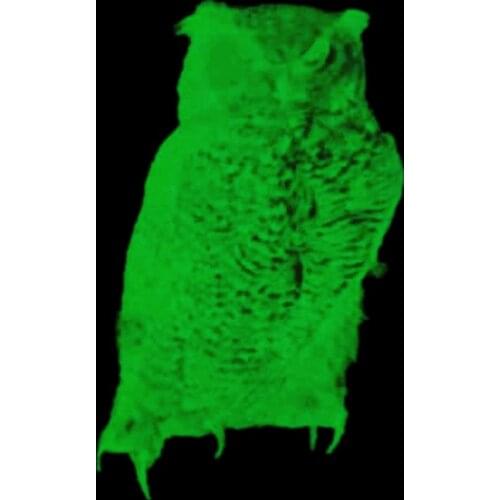 Night Owl Patch Noctilucence deal with it Clothes Stickers Iron Ons Heat Transfer Printing Patches for Clothing Animal Pattern