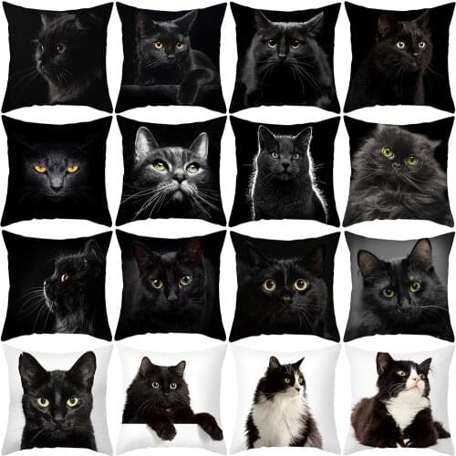 Throw Pillow Bts Case 45*45cm Animal Print Cat Cute Cartoon Cushion Sets for Chair Sofa Decorative Home Farmhouse Decor