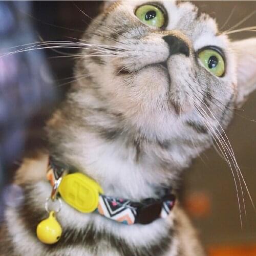 Cat Collar Cat Collar with Bell Pet Accessories Colorful Series Adjustable Cat Collars Pet Collar with Bell Cat Accessories Pet