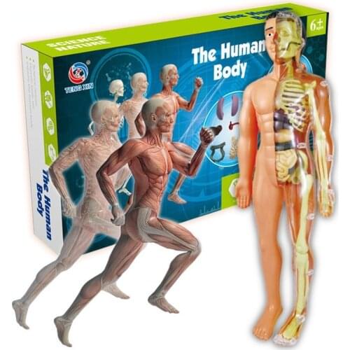 Feooe Educational Toys
