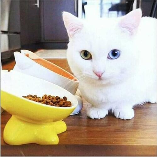 Mr.Bug Products For Cats