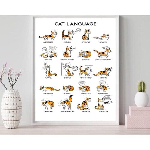 Funny Cute Cat and Dog Language Nordic Posters and Prints Animal Training Knowledge Wall Art Canvas Painting Pictures Home Decor