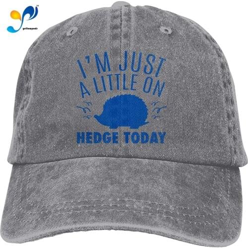 I Am Just A Little Hedgehog A Vintage Washed Twill Baseball Caps Adjustable Hats Funny Humor Irony Graphics Of Adult Gift Gray