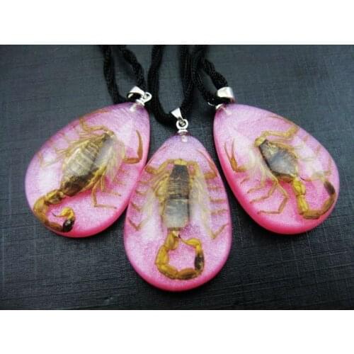 Free shipping 12 pcs yqtdmy classical gold scorpion king pink chic color pendants