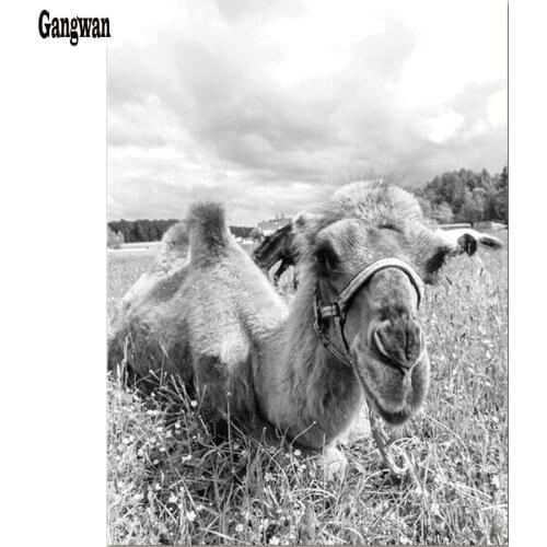 5D DIY Diamond Painting Full Square/Round Drill "black white camel" rhinestone Embroidery painting Cross Stitch mosaic decor