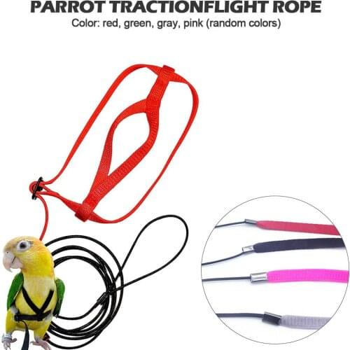Parrot Harness And Leash Flying Anti-bite Traction Rope Bird Training Outdoor Carrying For Psittacus Scarlet Macaw Parrots Birds
