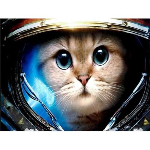 5D DIY Diamond Painting Full Square Cat Cross Stitch Embroidery Diamond Mosaic Animal Art Picture Of Rhinestones Home Decor Gift