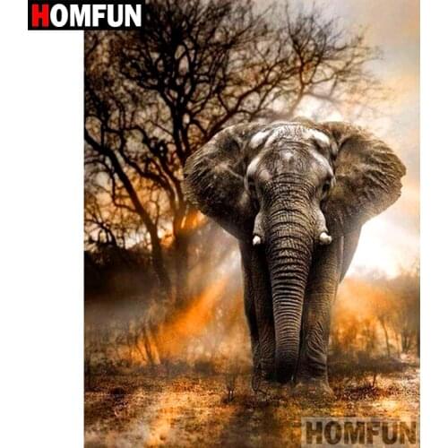 HOMFUN Full Square/Round Drill 5D DIY Diamond Painting "Animal elephant" 3D Embroidery Cross Stitch 5D Rhinestone Decor BK002