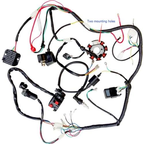 Complete Electrics 250 Line Assembly 3-hole Coil Wiring Harness Coil Stator Wire Loom for Dirt Bike ATV QUAD 200cc 250cc