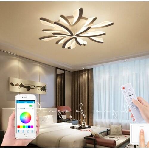 Modern acrylic Nordic creative Ceiling Lights LED novelty Europe ceiling Lamp for bedroom living room restaurant hallway hotel