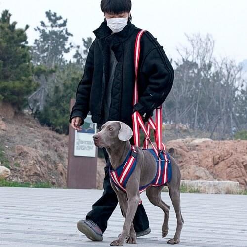 2021 New Pet Traction Belt Harness Disabled Dog Auxiliary Chest Strap Outdoor Pet Accessories Elderly Dog Walking Auxiliary Belt