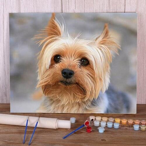 Animal Dog Coloring By Numbers Painting Set Oil Paints 50*70 Boards By Numbers Home Decoration For Children Handicraft Art