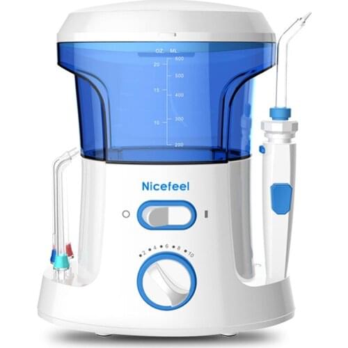 Oral Irrigator 8pcs Tips Dental Water Flosser Electric Cleaner 600ml Oral Hygiene Dental Flosser Water Flossing Family Oral Care