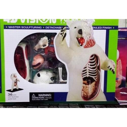 4D Assembled Anatomy Animal Polar Bear Polar Bear Anatomical Model Animal Sketelon Model Medical Use Kids Science Education Toys
