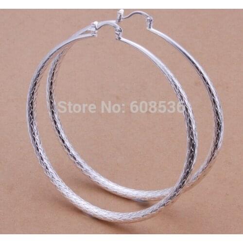 Free Shipping Wholesale fashion jewelry Earrings ,S925 Sterling Silver color Jewelry Earrings . QE289