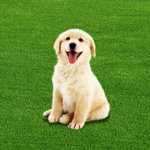 Spring Grass Grid 3 Cm Lawn Decoration Dog House PP Artificial Grass Pet Lawn Mat Print