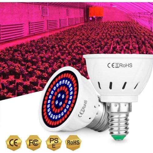 Светодиодные лампы для растений HobbyLane China At AliExpress