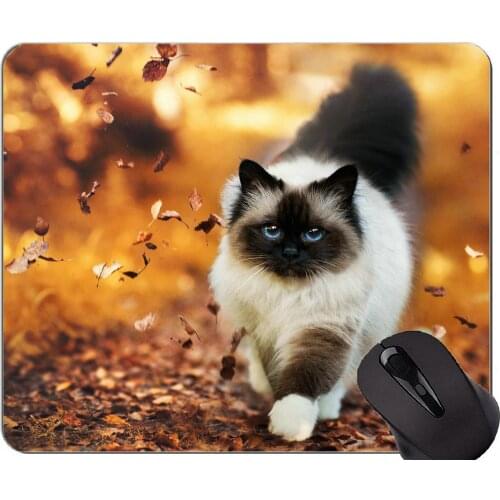 Mouse Pad with Stitched Edge,Blue Eyes Himalayan Cat Animal Earth Nature Cat Non-Slip Rubber Base Mousepad