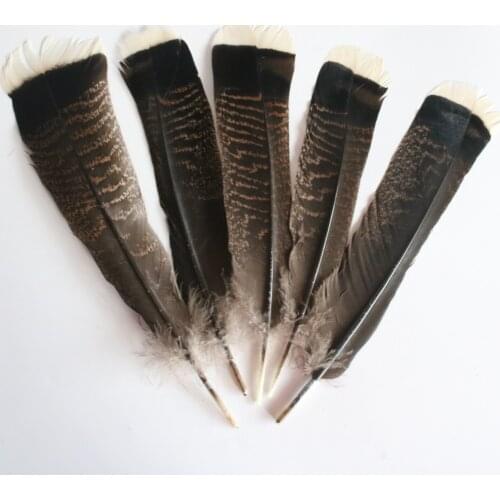 Wholesale 50 Pcs/lot High Quality Natural Eagle Feathers 25-30cm/10-12inch Selected Feather Diy Jewelry Decoration Plume