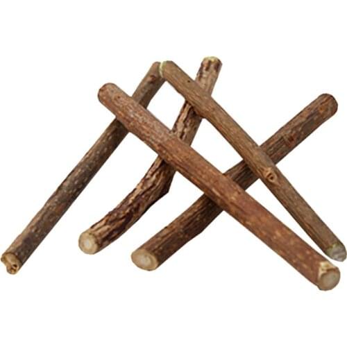 10Pcs Teeth Cleaning Stick Pure Catnip Kitty Molar Toothpaste Rods Hot